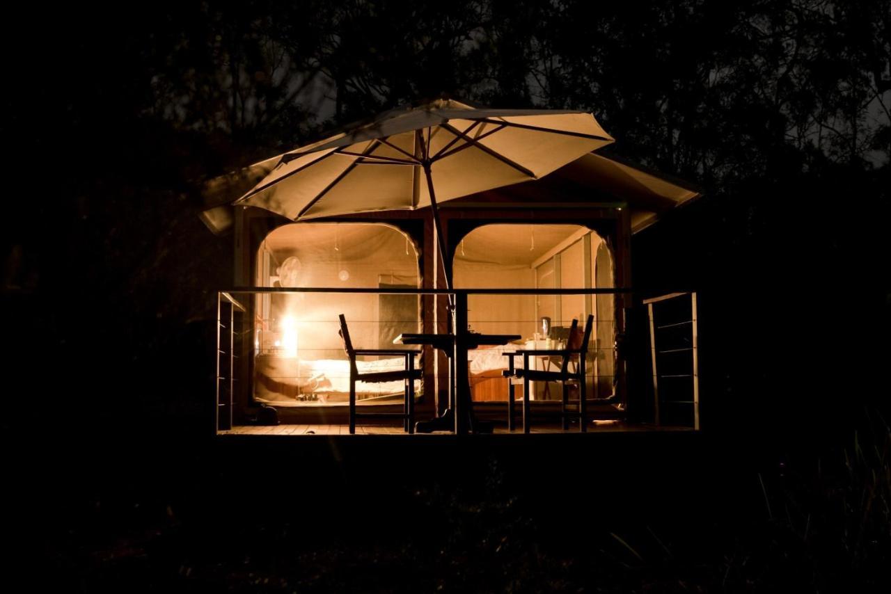 Wild Nature Lodge, Mareeba Wetlands Biboohra Exteriér fotografie