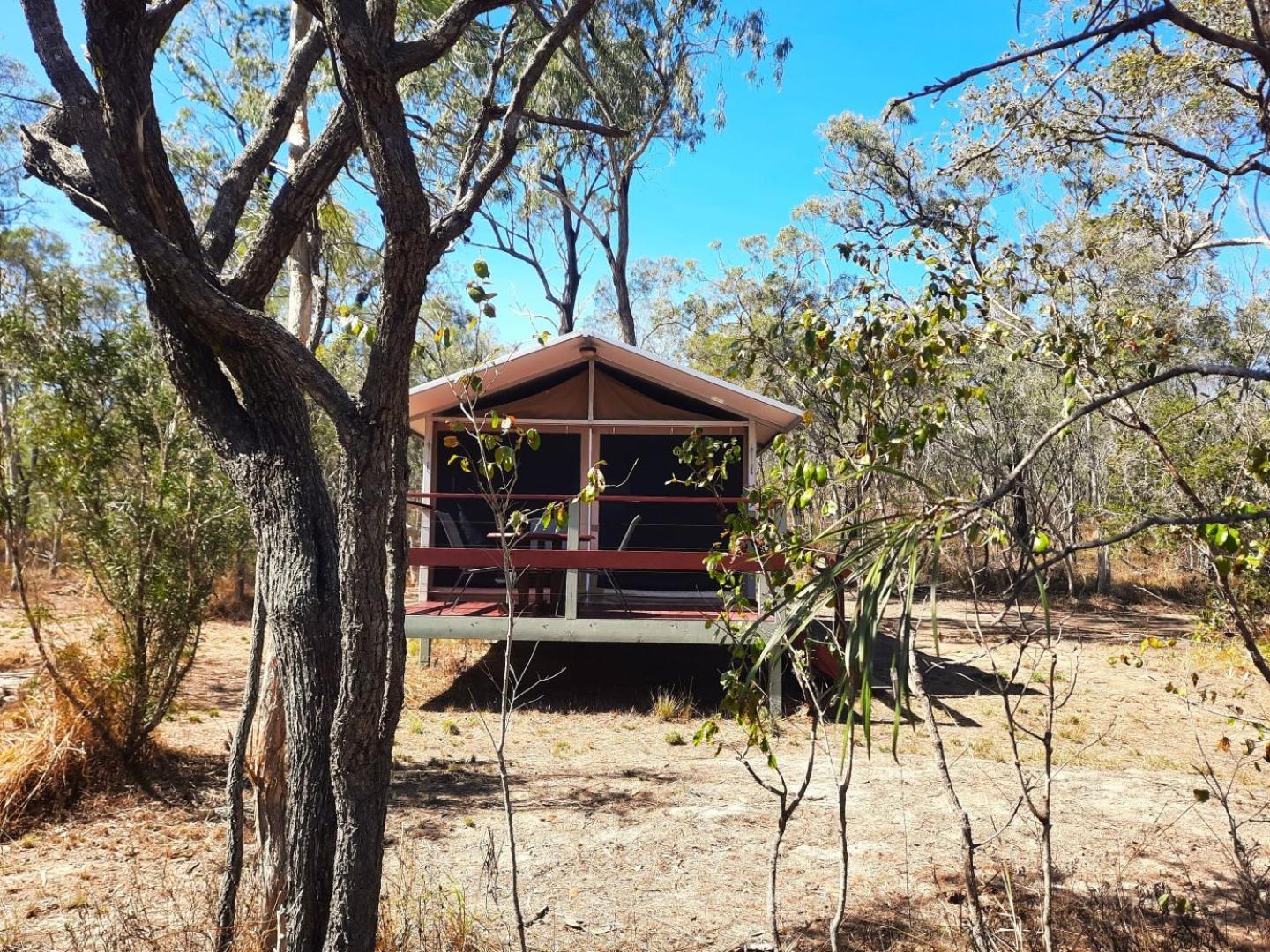Wild Nature Lodge, Mareeba Wetlands Biboohra Exteriér fotografie