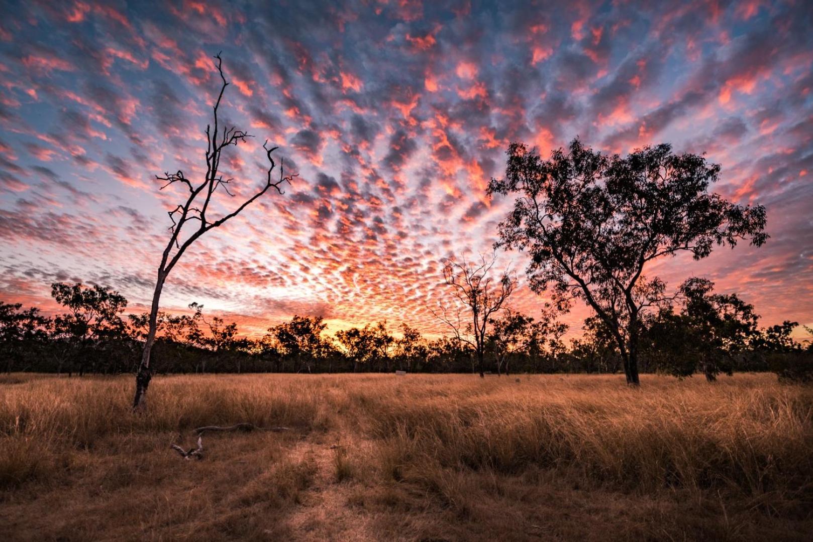 Wild Nature Lodge, Mareeba Wetlands Biboohra Exteriér fotografie